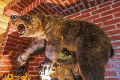 Сауна Русская охота