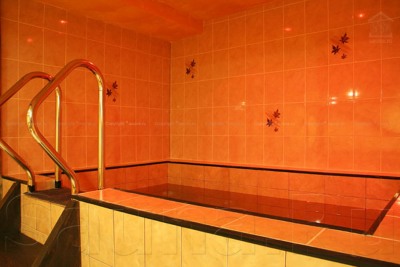 Сауна Визит на Ореховом бульваре