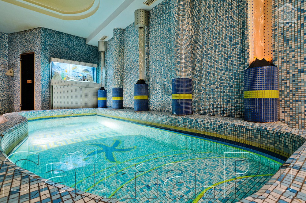 Банный Комплекс Русский Стандарт, зал «Класс VIP» — фото 15