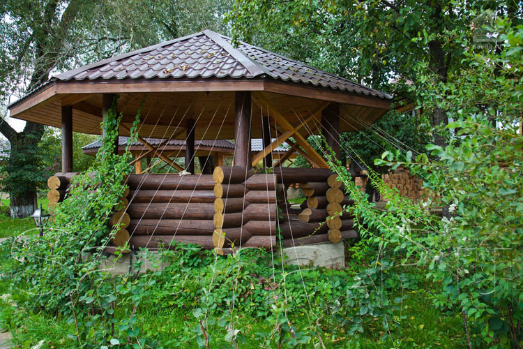 Загородный клуб Лачи — фото 59