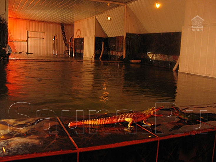 Спортивно-оздоровительный клуб Здоровье — фото 13