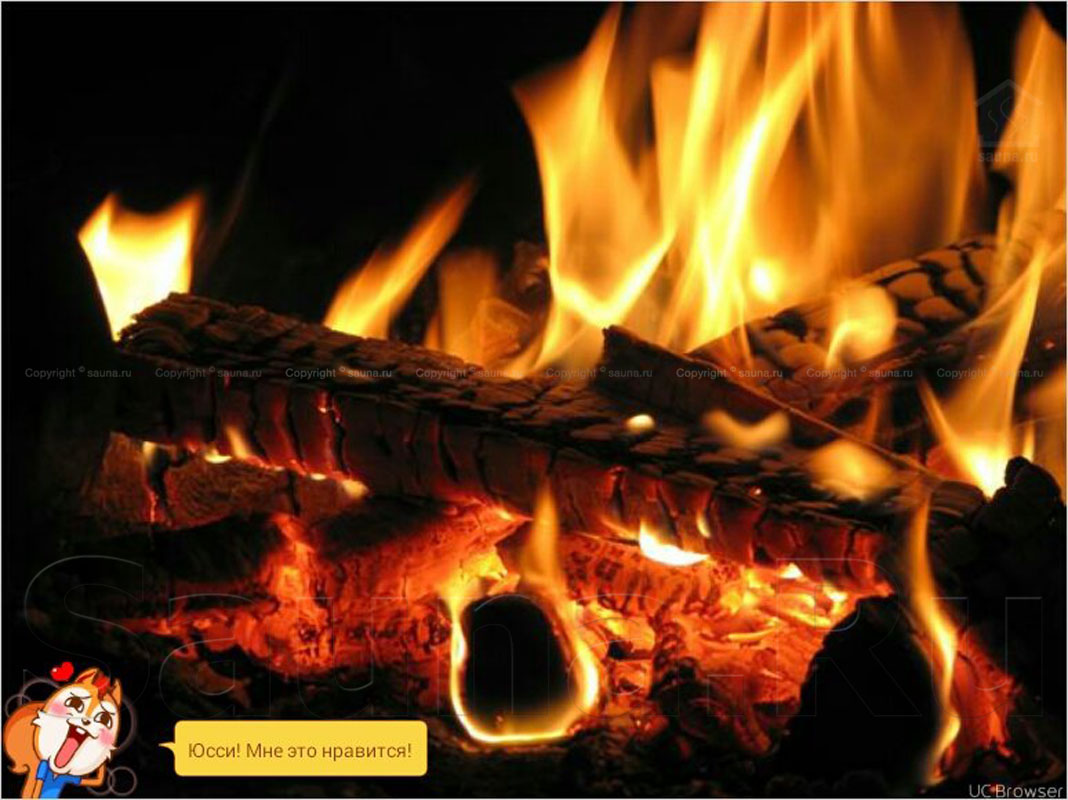 Семейная баня SPA и BBQ в гостях у Юсси — фото 14
