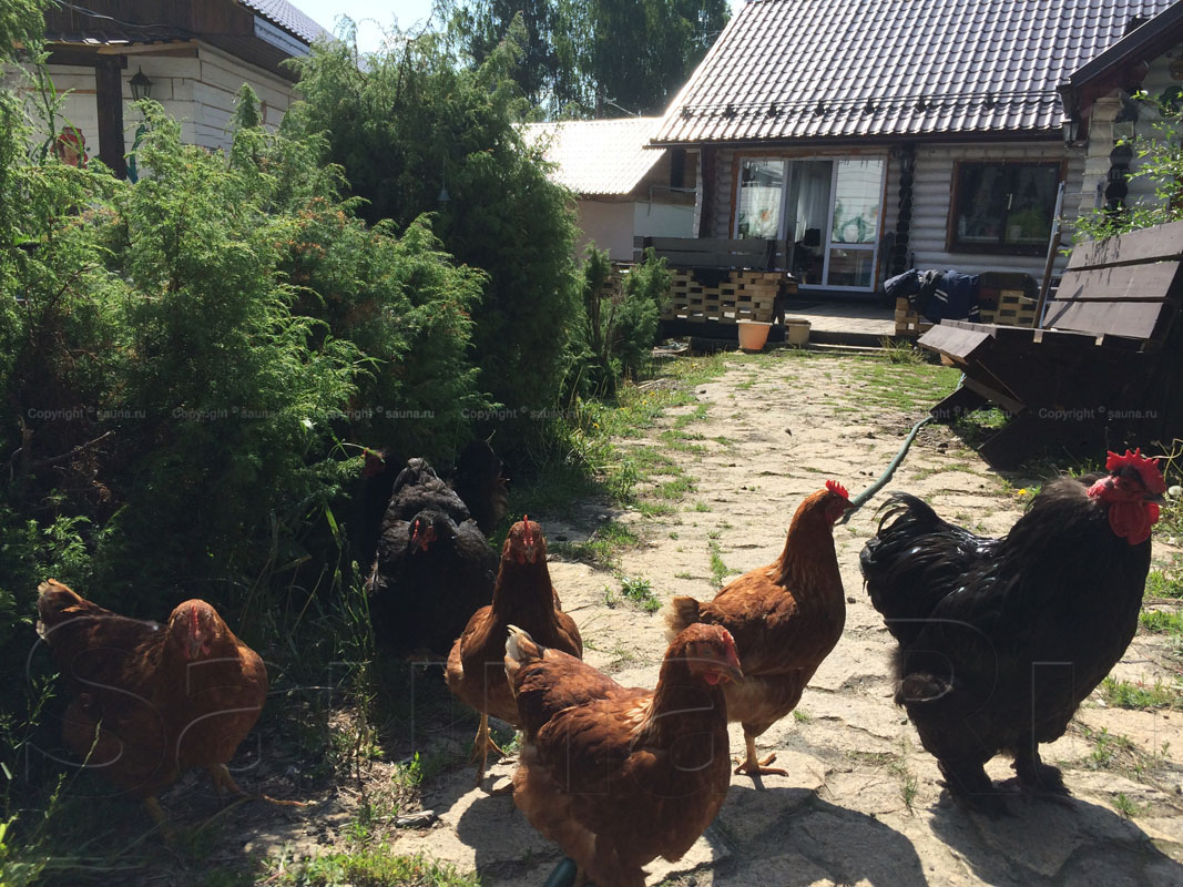 Загородный клуб Благодать