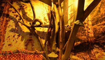 Сауна Семь Пятниц