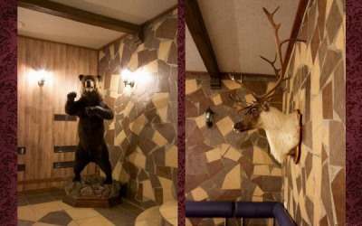 Шереметьевские сауны