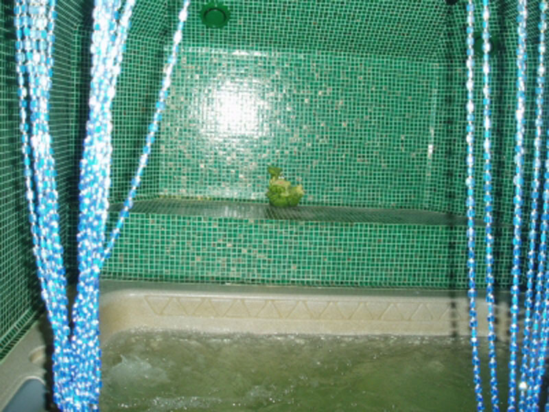 SPA-сауна