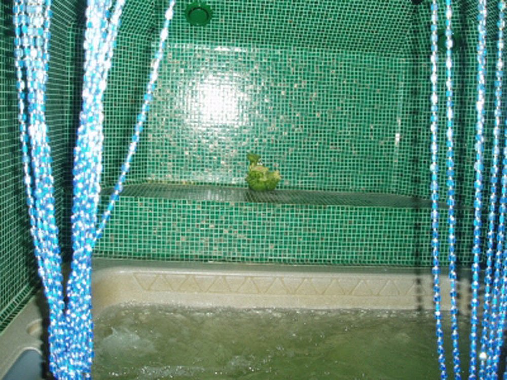 SPA-сауна