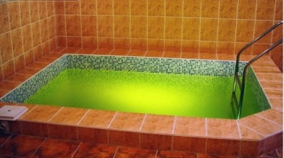 Царицынские бани