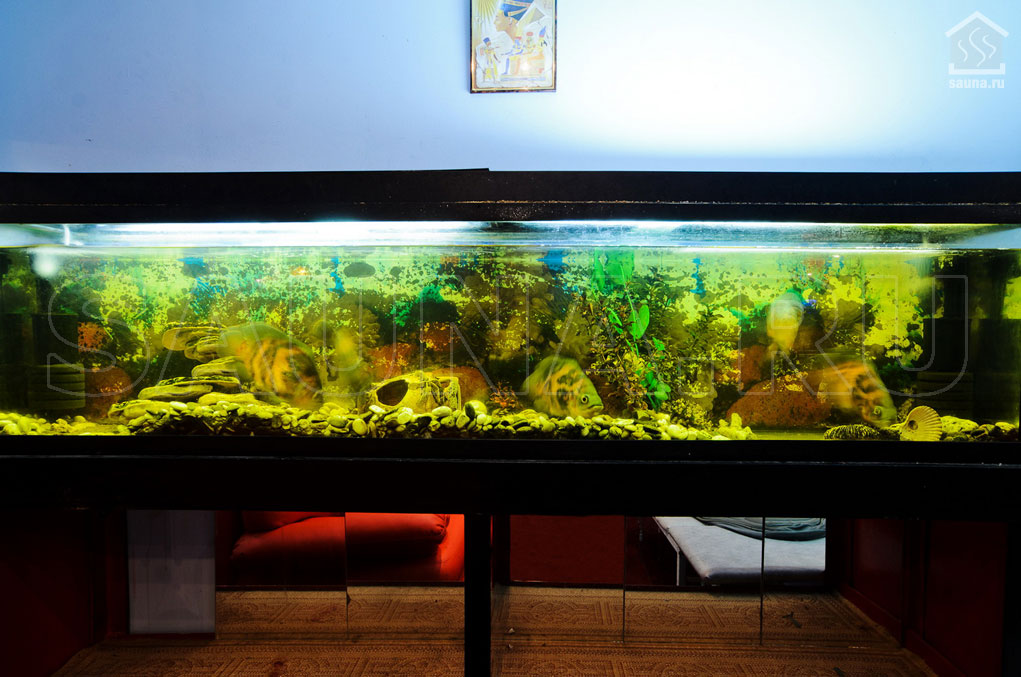 Сауна Леда - Оздоровительный комплекс — фото 6