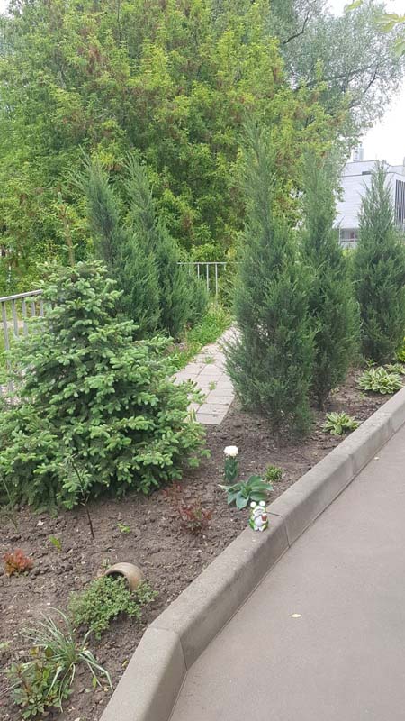 Сауна на Дмитровке, зал «Летняя веранда» — фото 14