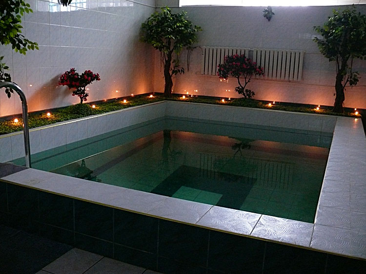 Сауна Venique Room