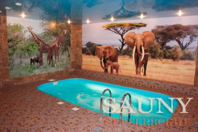 Сергеевские сауны